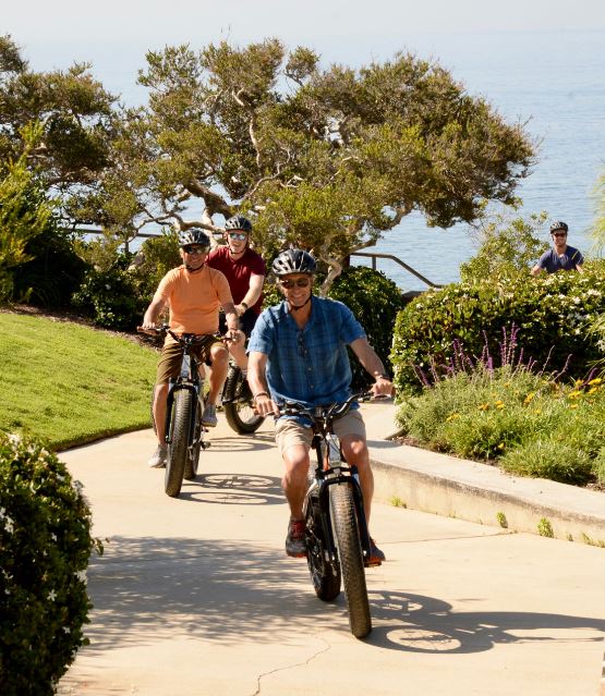 La Vida Laguna Kayak, Paddleboard, Hiking & Biking Tours, and Surfing Lessons