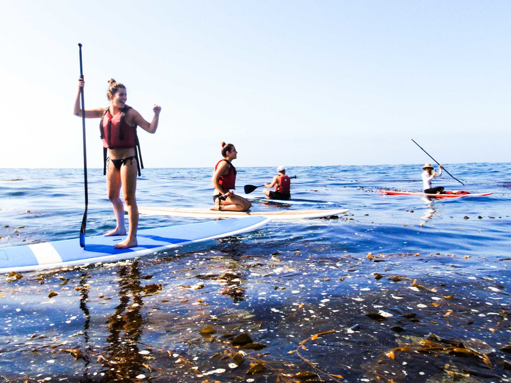 La Vida Paddleboard