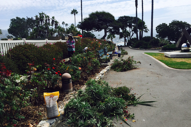 Laguna Beach Garden Club
