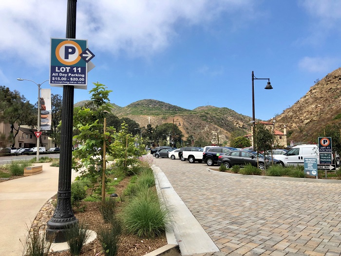 Lot 11 – Forest/Laguna Canyon Lot