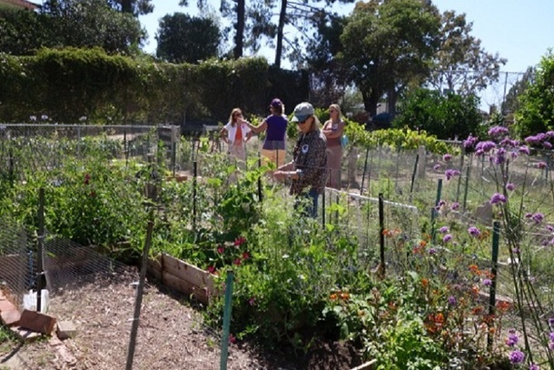 Laguna Beach Garden Club