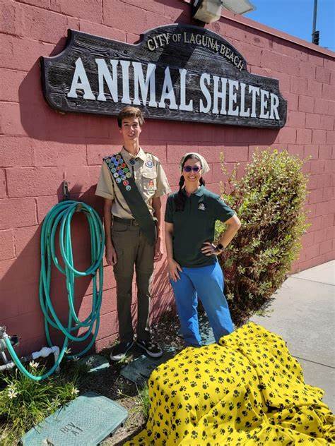 Laguna Beach Animal Hospital