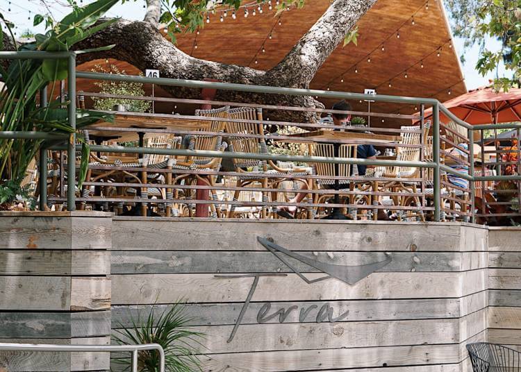 Navigating Laguna Beach's Summer Festivals