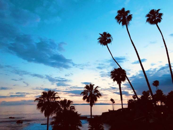 Caitlin’s Laguna Beach Essentials