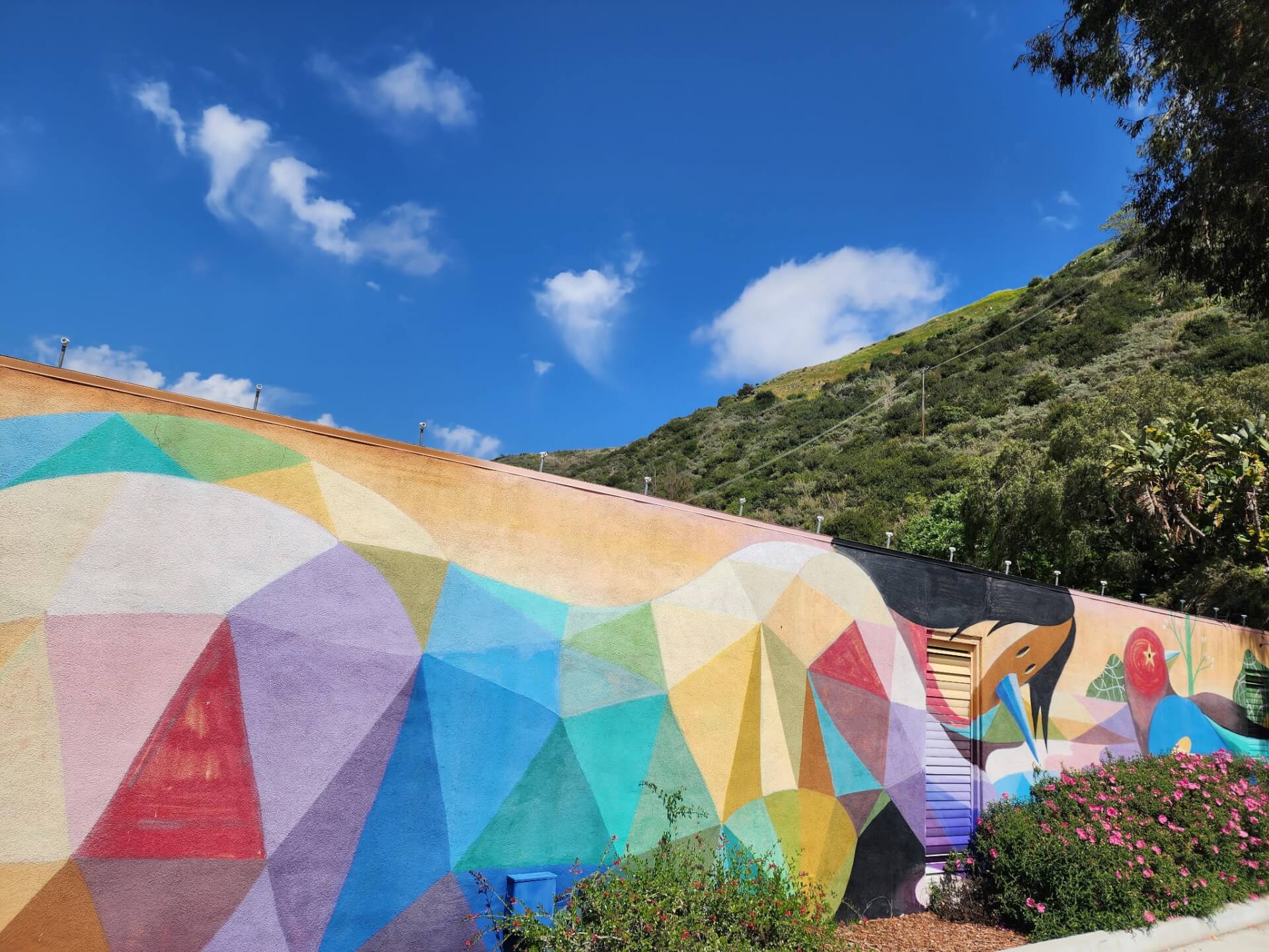 Let's Go to the Hive in Laguna Beach