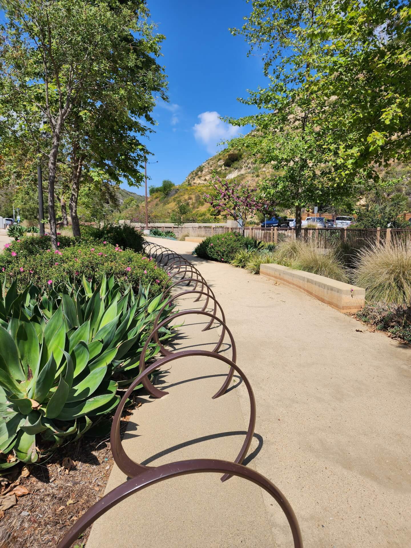 Let's Go to the Hive in Laguna Beach