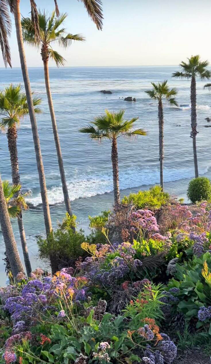 25 Things to Do in Laguna Beach in 2025.