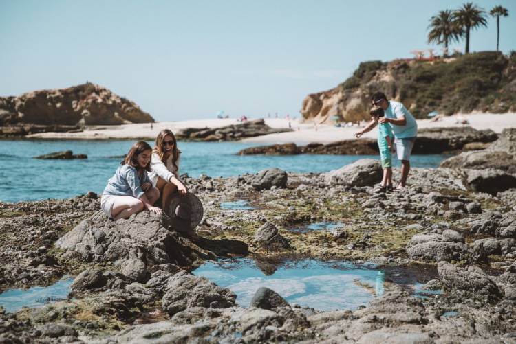 Conservation in Laguna Beach