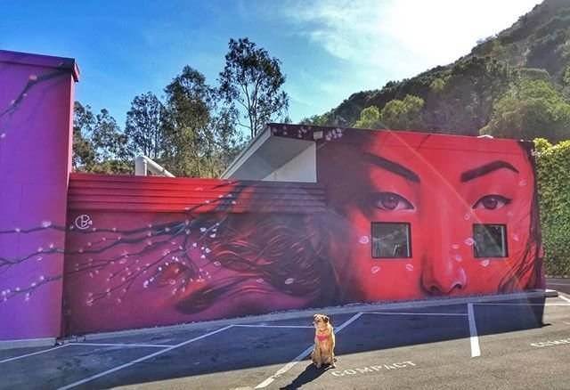 Your Guide to Murals in Laguna Beach