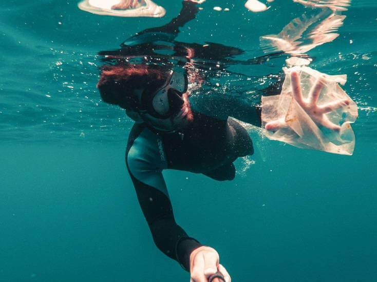 Conservation in Laguna Beach