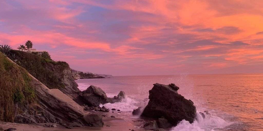 Dog-Friendly Itinerary