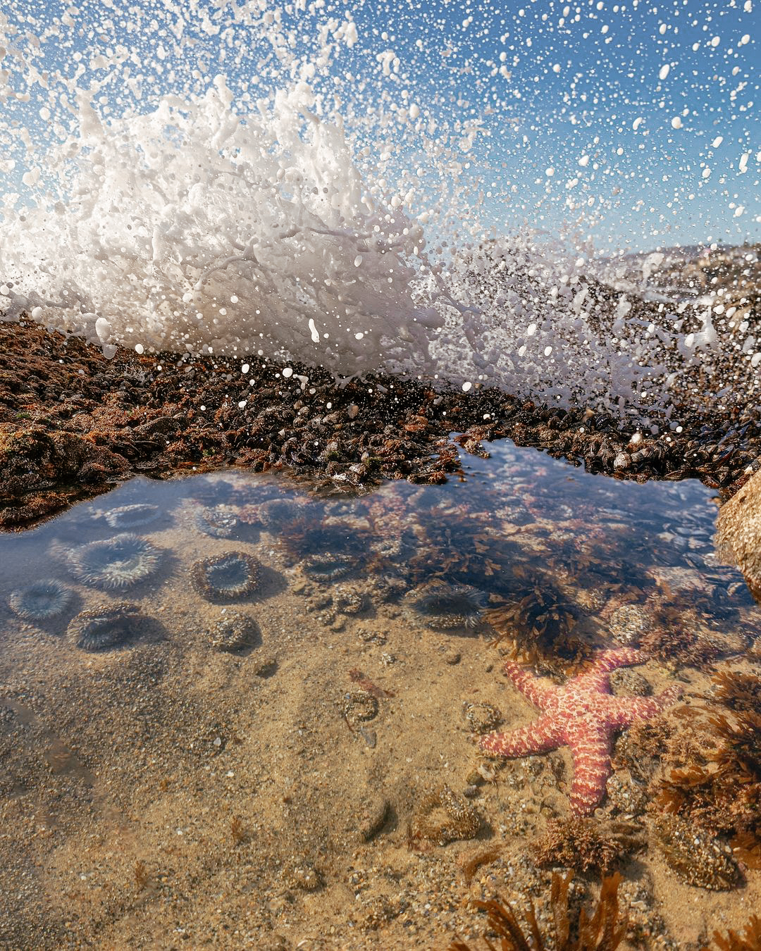 Planning a Budget-Friendly Stay in Laguna Beach Planning a Budget-Friendly Stay in Laguna Beach