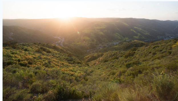 Aliso and Wood Canyon Wilderness Park